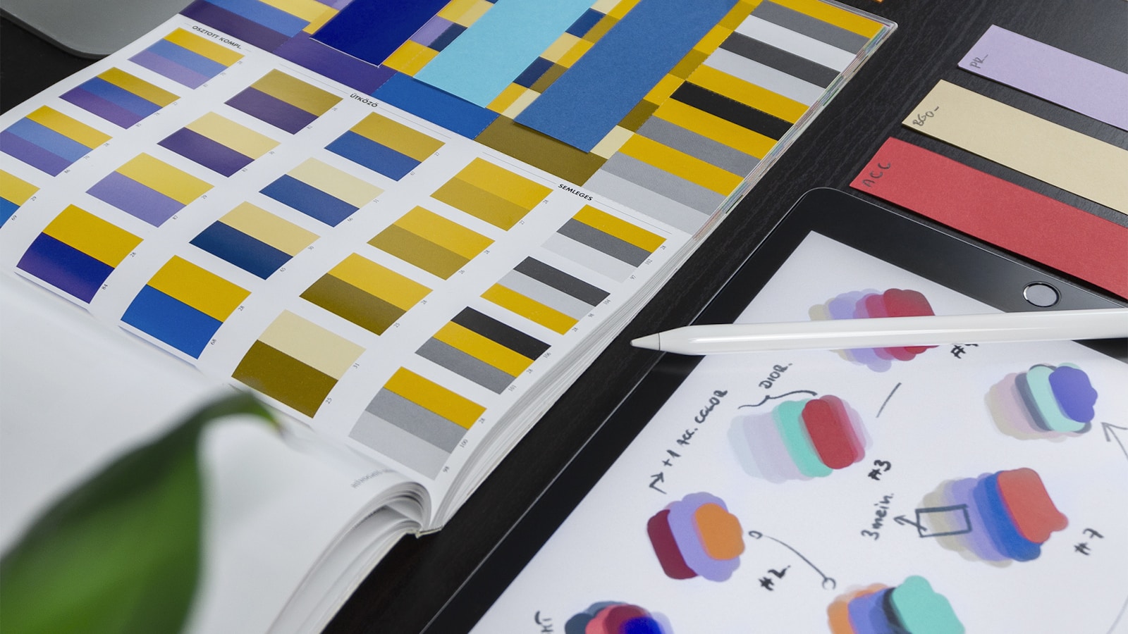 Brand Identity System
